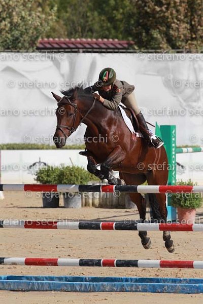 MALAGIGI_QUISQUILIA_GIO CAV 2011_SS3_9015.jpg